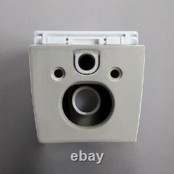 Blanc Double Flush Elongated Wall Hung Toilet Bath Carrier System&tank Bowl Set
