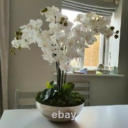 Grande Orchidée Blanche De Faux Avec Le Décor De Mousse Dans Le Bol En Acier Inoxydable